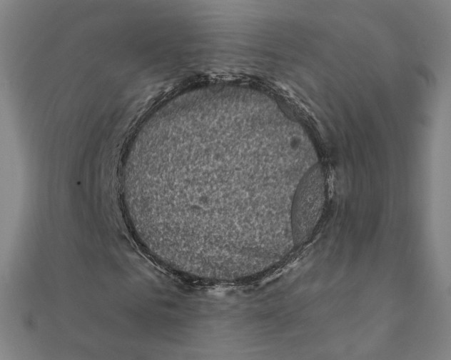 X0000111220961200907301222