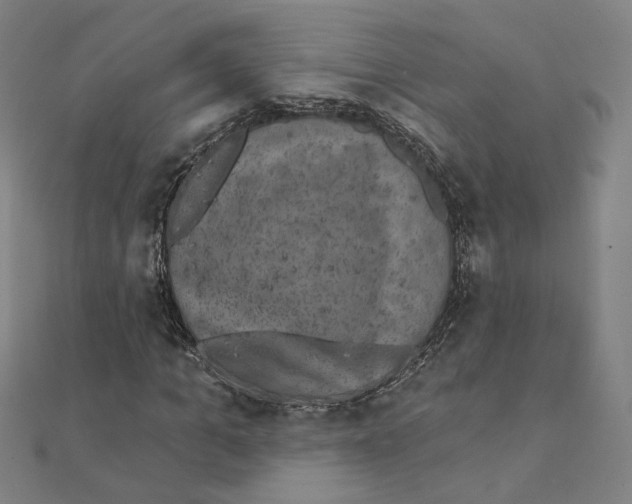 X0000111220965200907301222