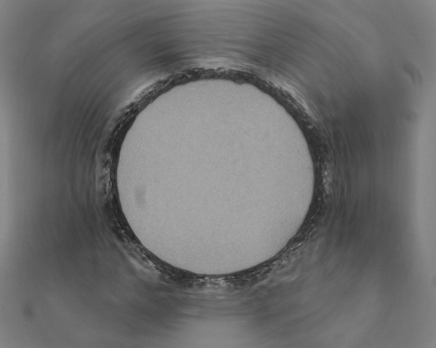 X0000111220968200907301222