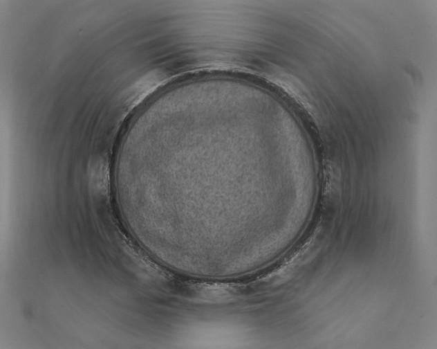 X0000111220969200907301222