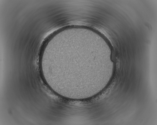 X0000111220971200907301222