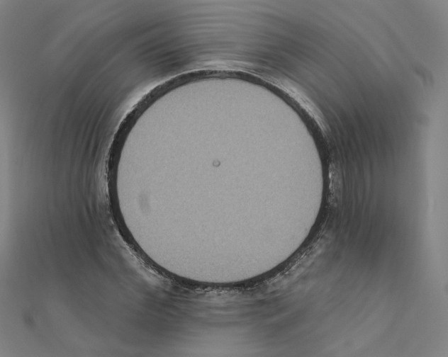 X0000111220972200907301222