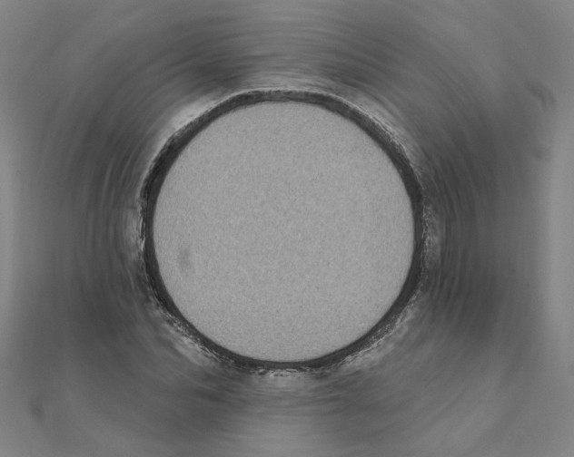 X0000111220974200907301222