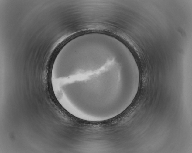 X0000111220975200907301222
