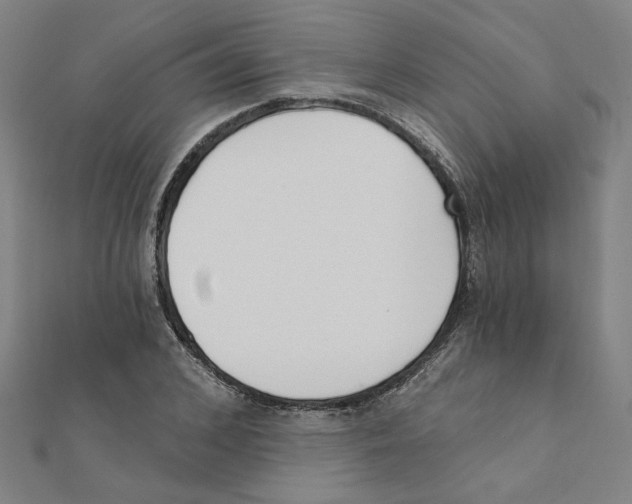 X0000111220976200907301222