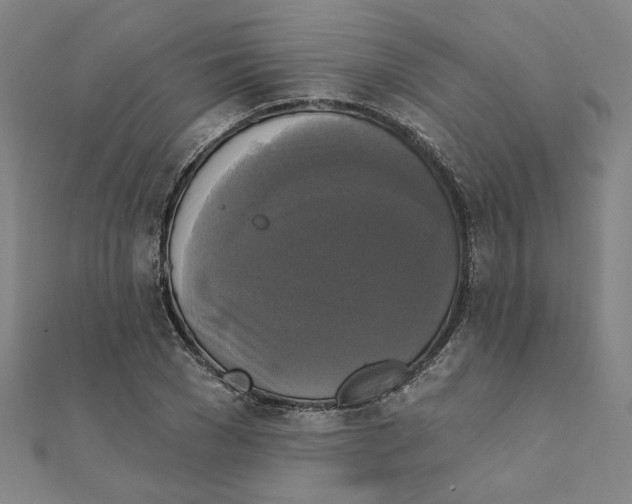 X0000111220977200907301222