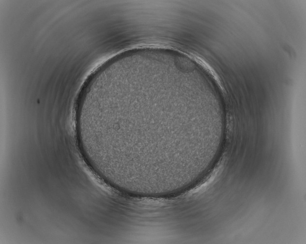 X0000111220981200907301222