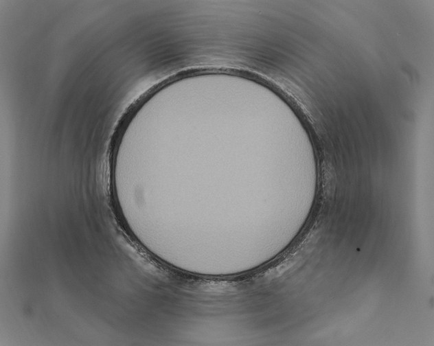X0000111220982200907301222