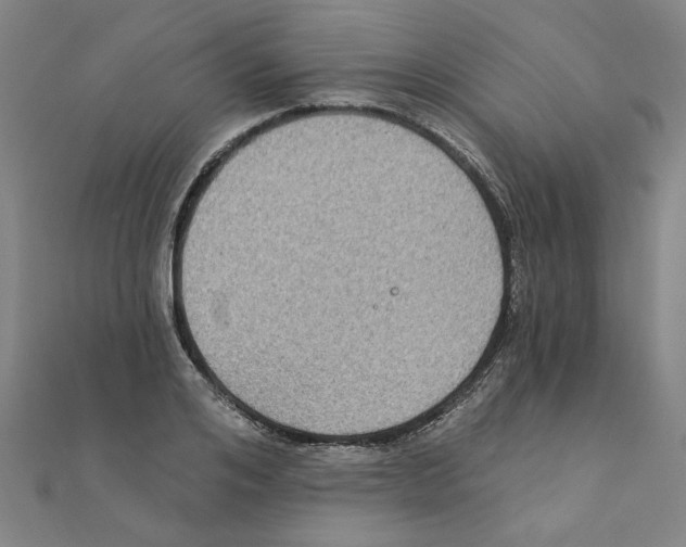 X0000111220984200907301222