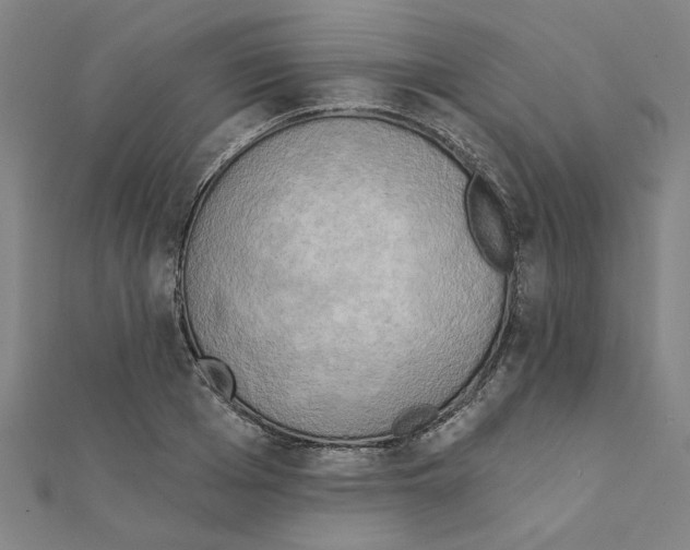 X0000111220985200907301222