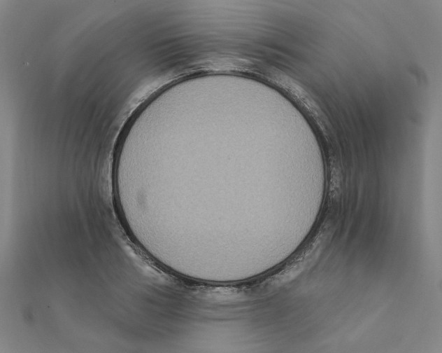 X0000111220986200907301222