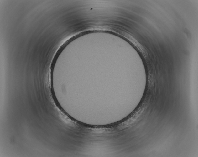 X0000111220988200907301222
