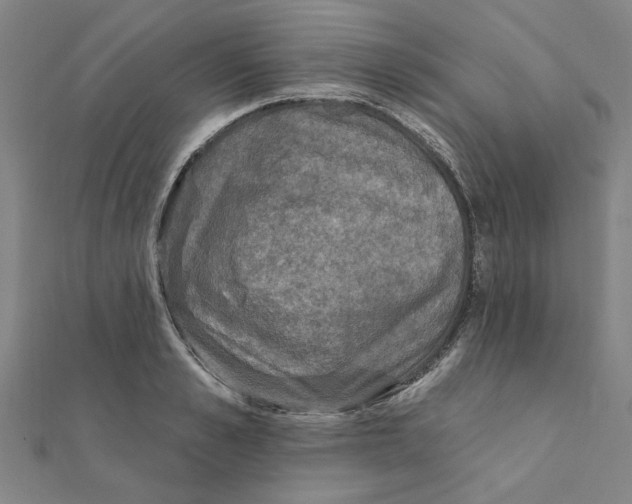 X0000111220989200907301222