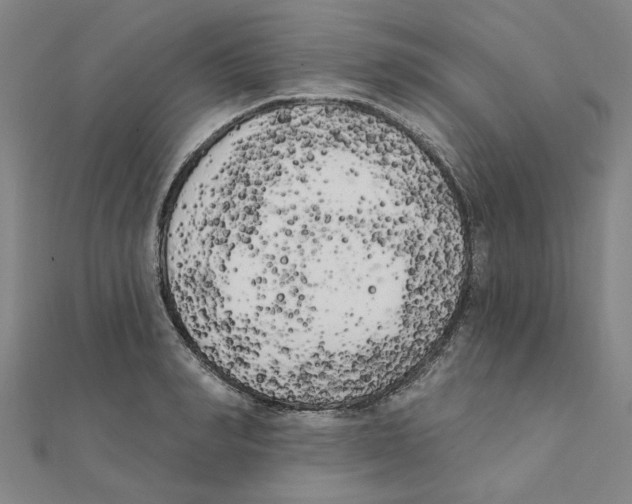 X0000111220990200907301221