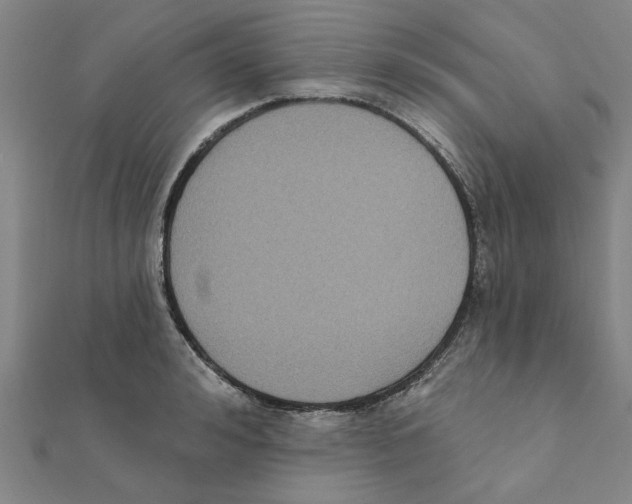 X0000111220992200907301221
