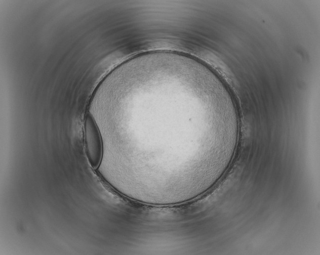 X0000111220993200907301221