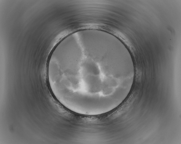 X0000111220994200907301221