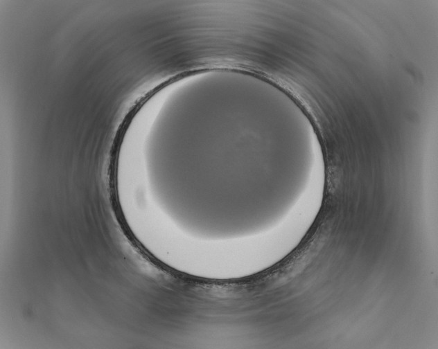 X0000111220995200907301221