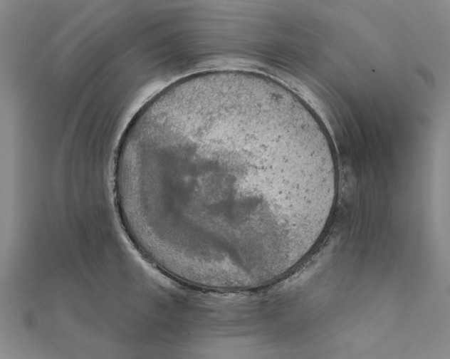 X0000111220997200907301221