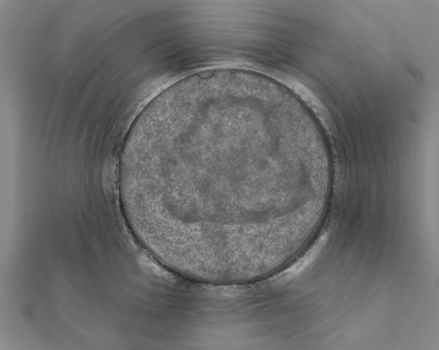 X0000111221001200907301221