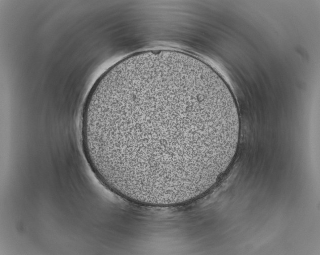 X0000111221003200907301221