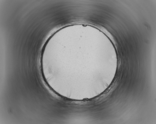 X0000111221005200907301221