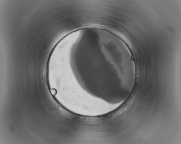 X0000111221007200907301221