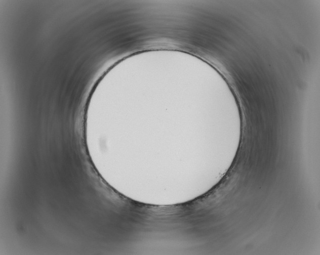 X0000111221008200907301221