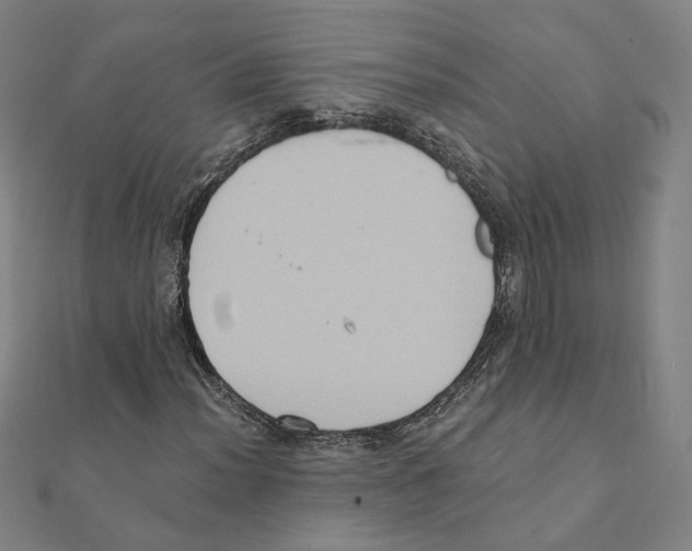 X0000111221012200907301221