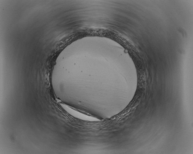 X0000111221013200907301221