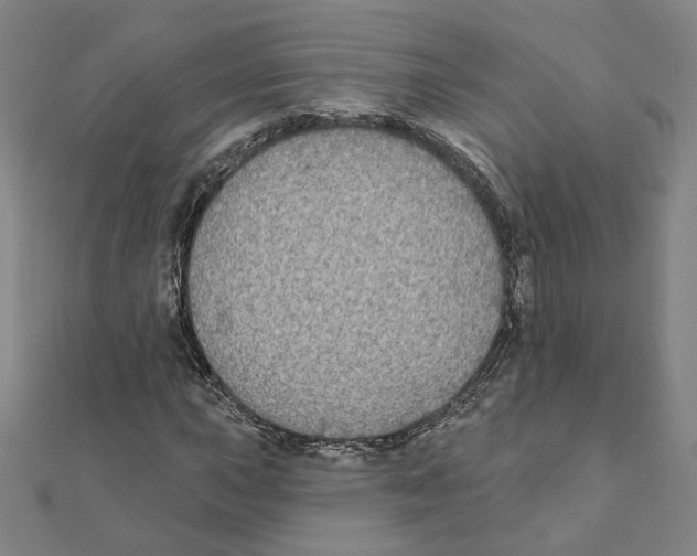 X0000111221015200907301221