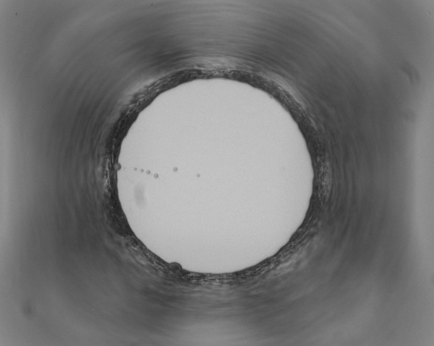 X0000111221016200907301221