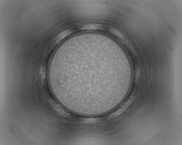 X0000111221017200907301221