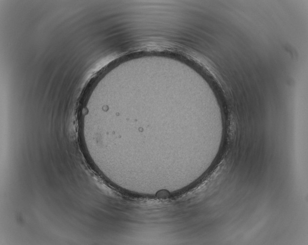 X0000111221018200907301221