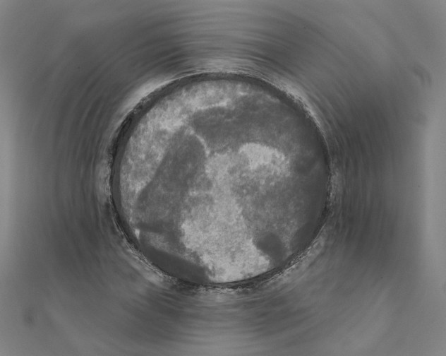 X0000111221019200907301221
