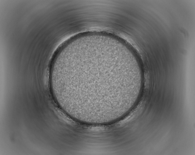 X0000111221021200907301221