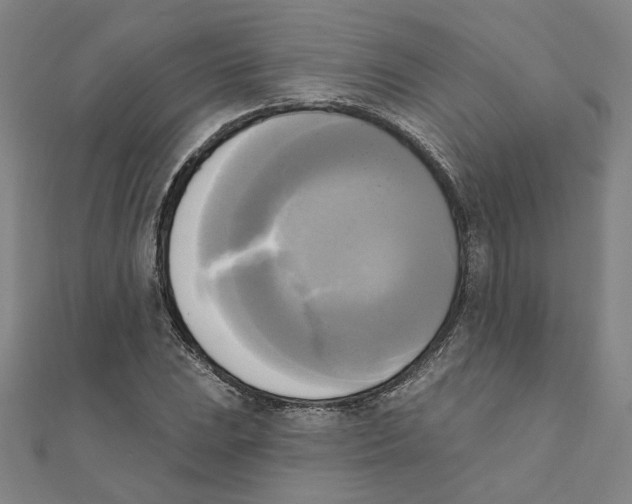 X0000111221023200907301221