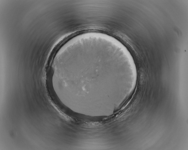 X0000111221024200907301221