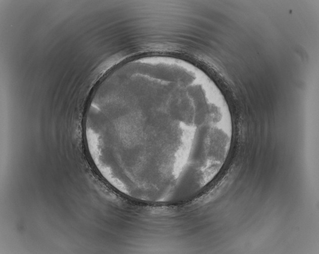 X0000111221025200907301221