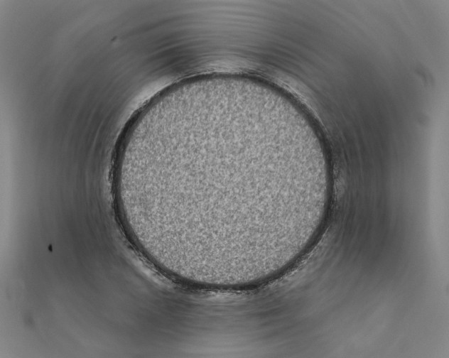 X0000111221026200907301221