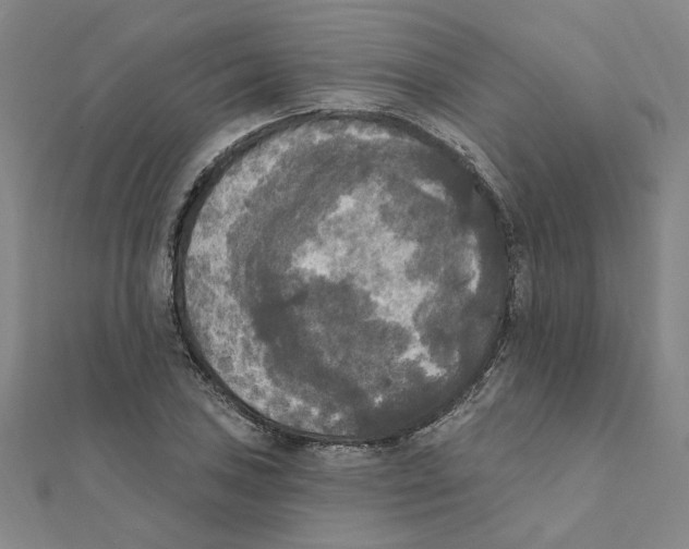 X0000111221027200907301221