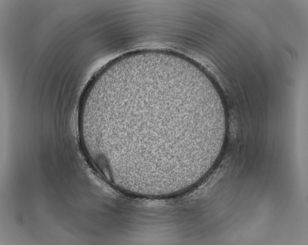 X0000111221030200907301221