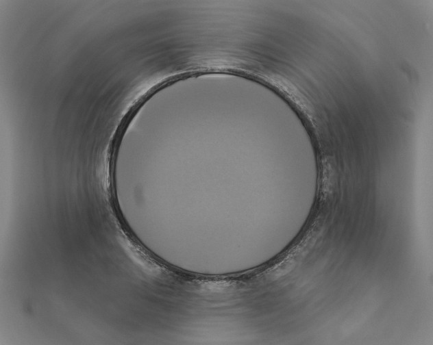 X0000111221031200907301221