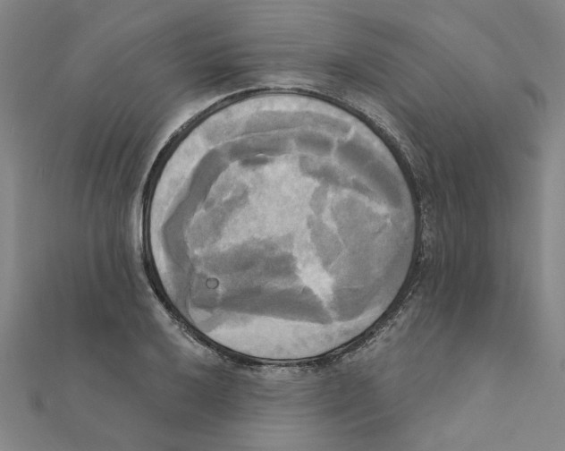 X0000111221032200907301221