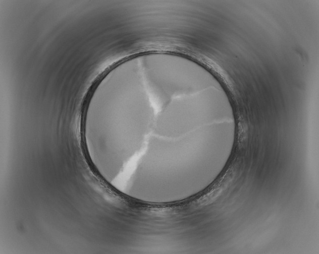 X0000111221035200907301221