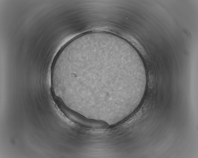 X0000111221036200907301221