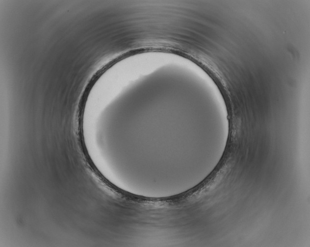 X0000111221037200907301221