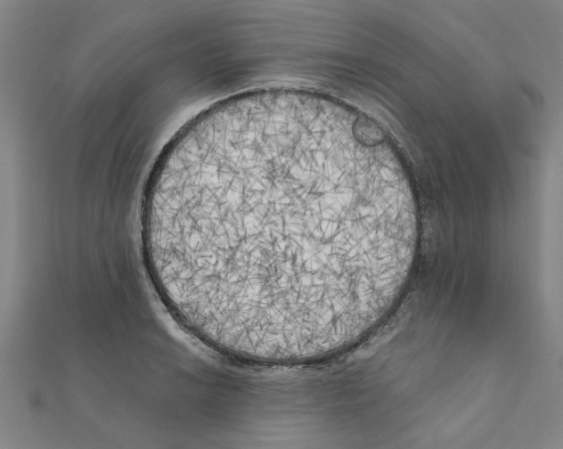 X0000111221038200907301221