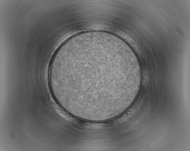 X0000111221039200907301221