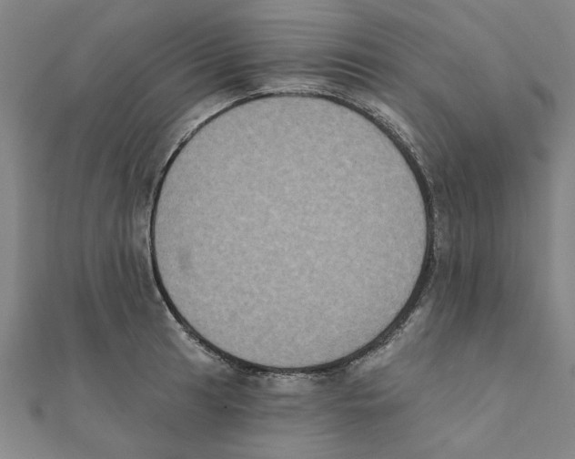 X0000111221041200907301221